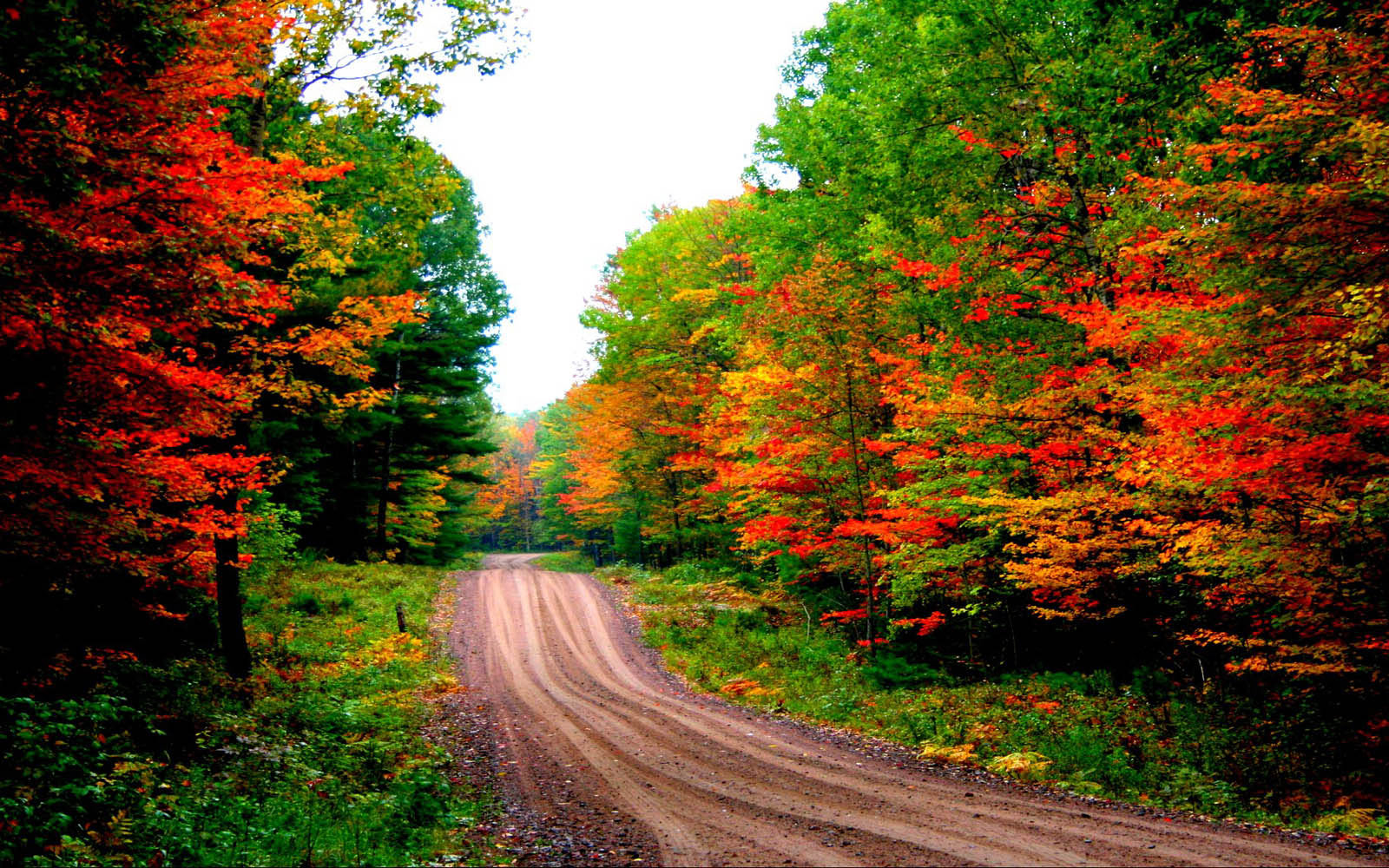 Desktops Autumn Road Desktops Clipart