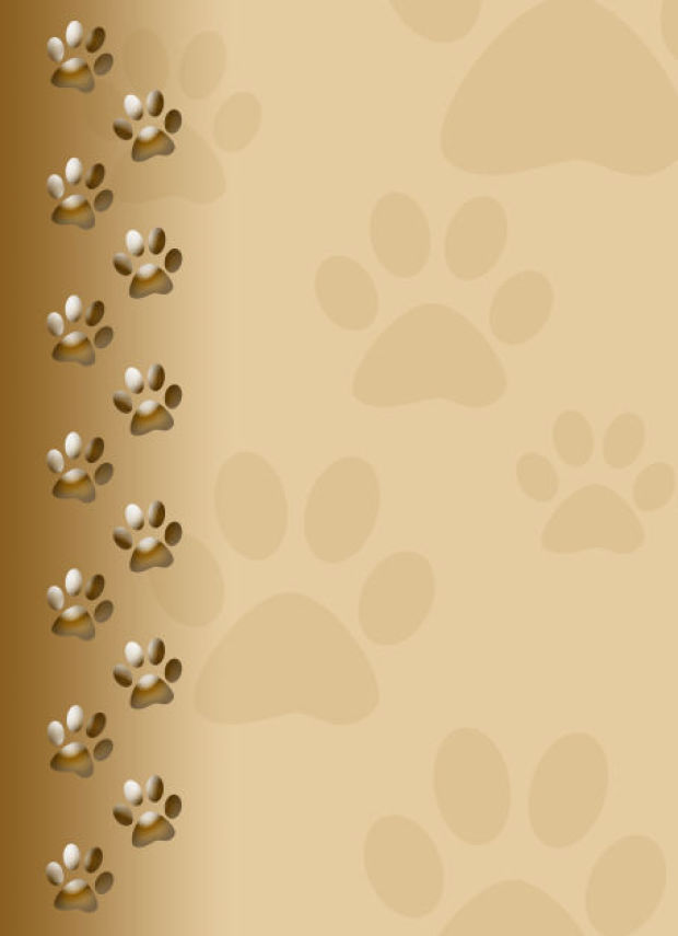 Dog Paw Dog Paw Print image