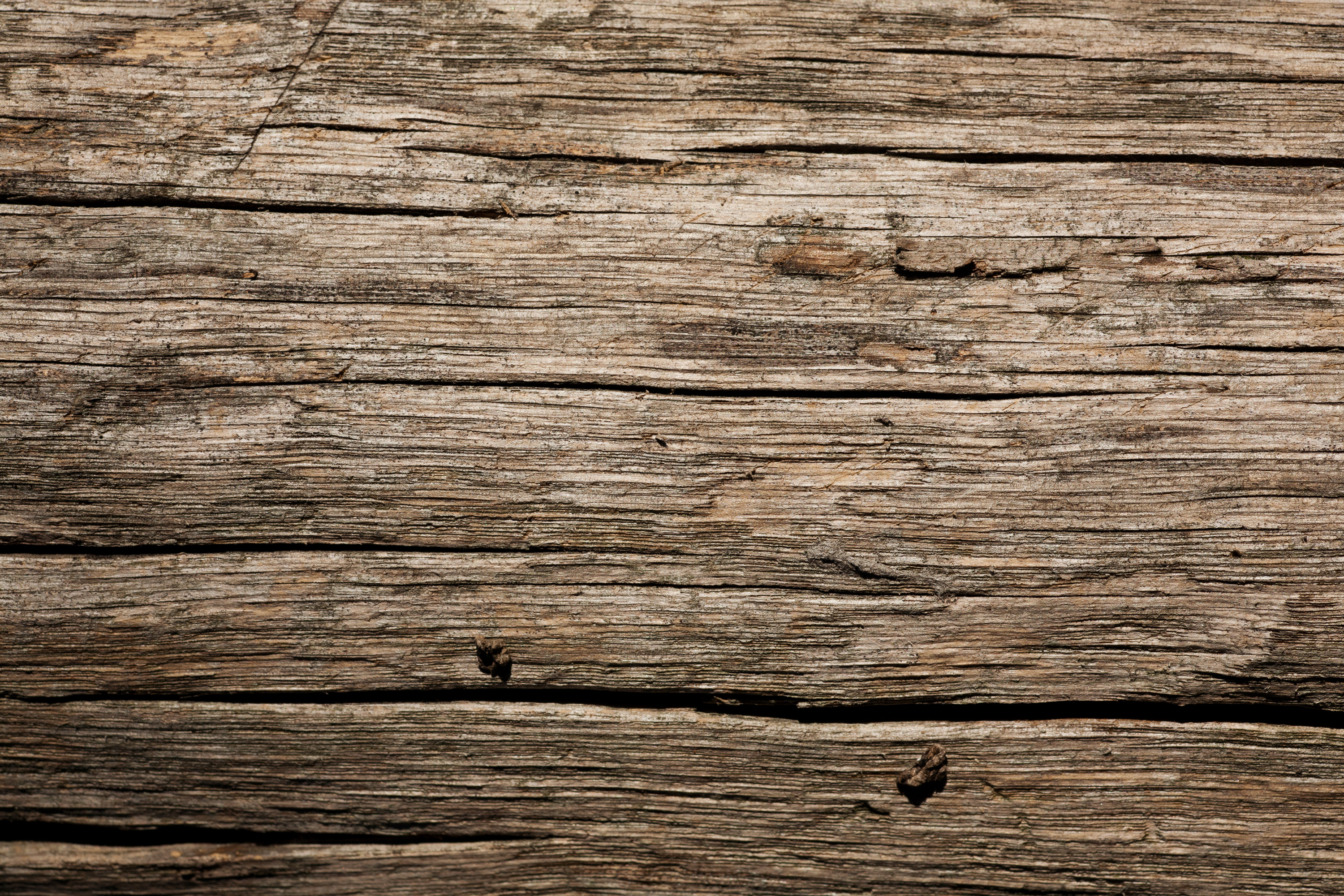 Dry Old Wood Texture image