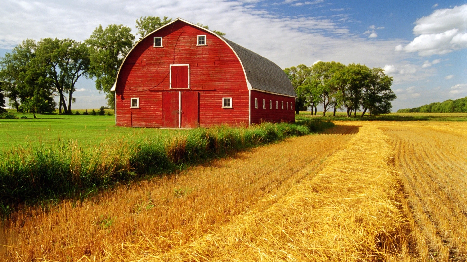 Farm Stall Horse Barn Located Wallpaper