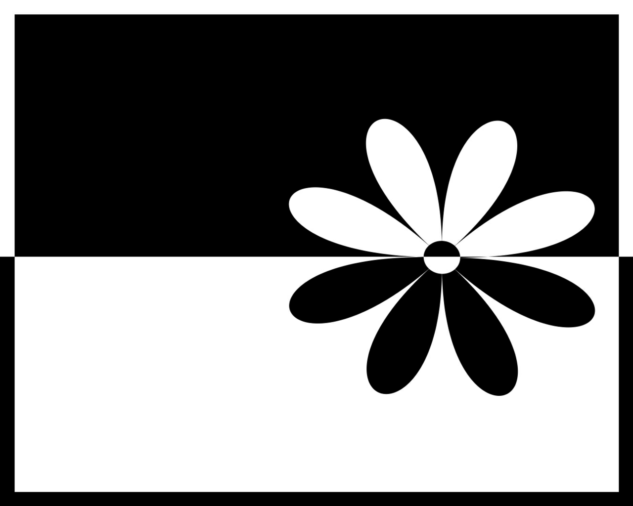 Flower Black and White Design