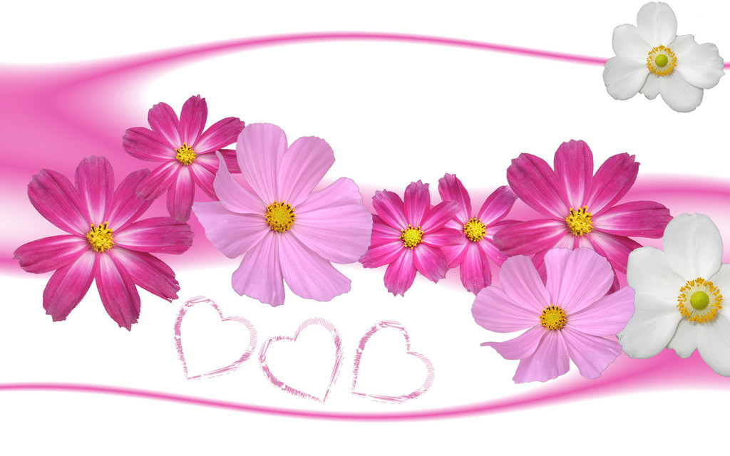 Flower Border Clipart