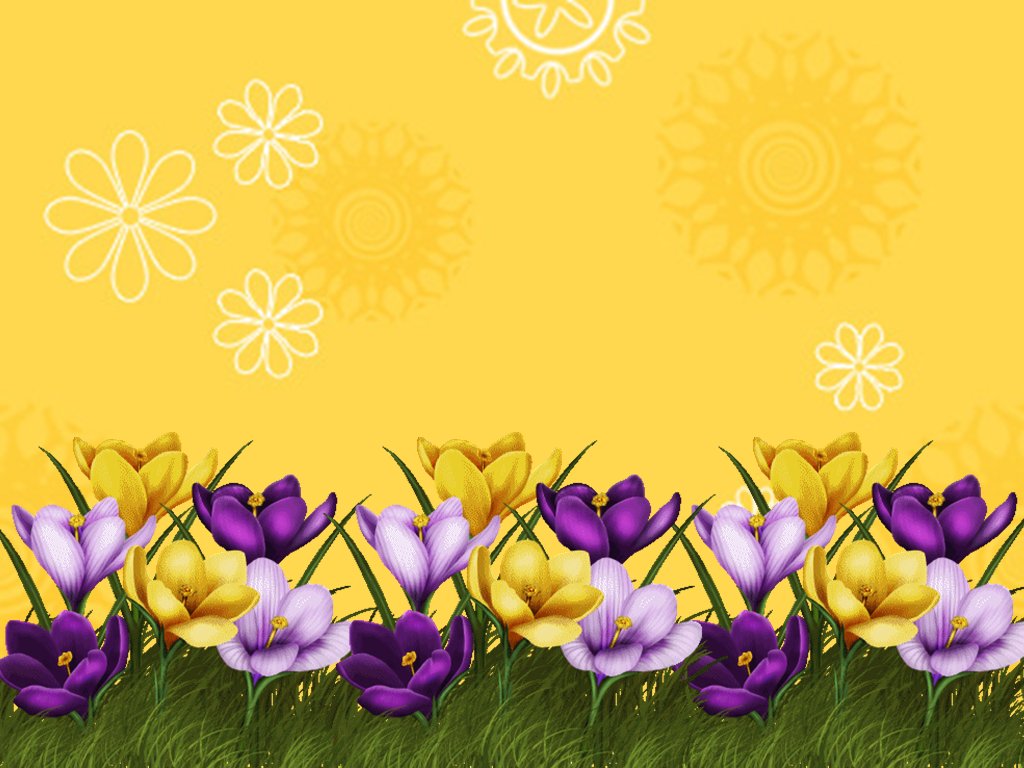 Flower Border image