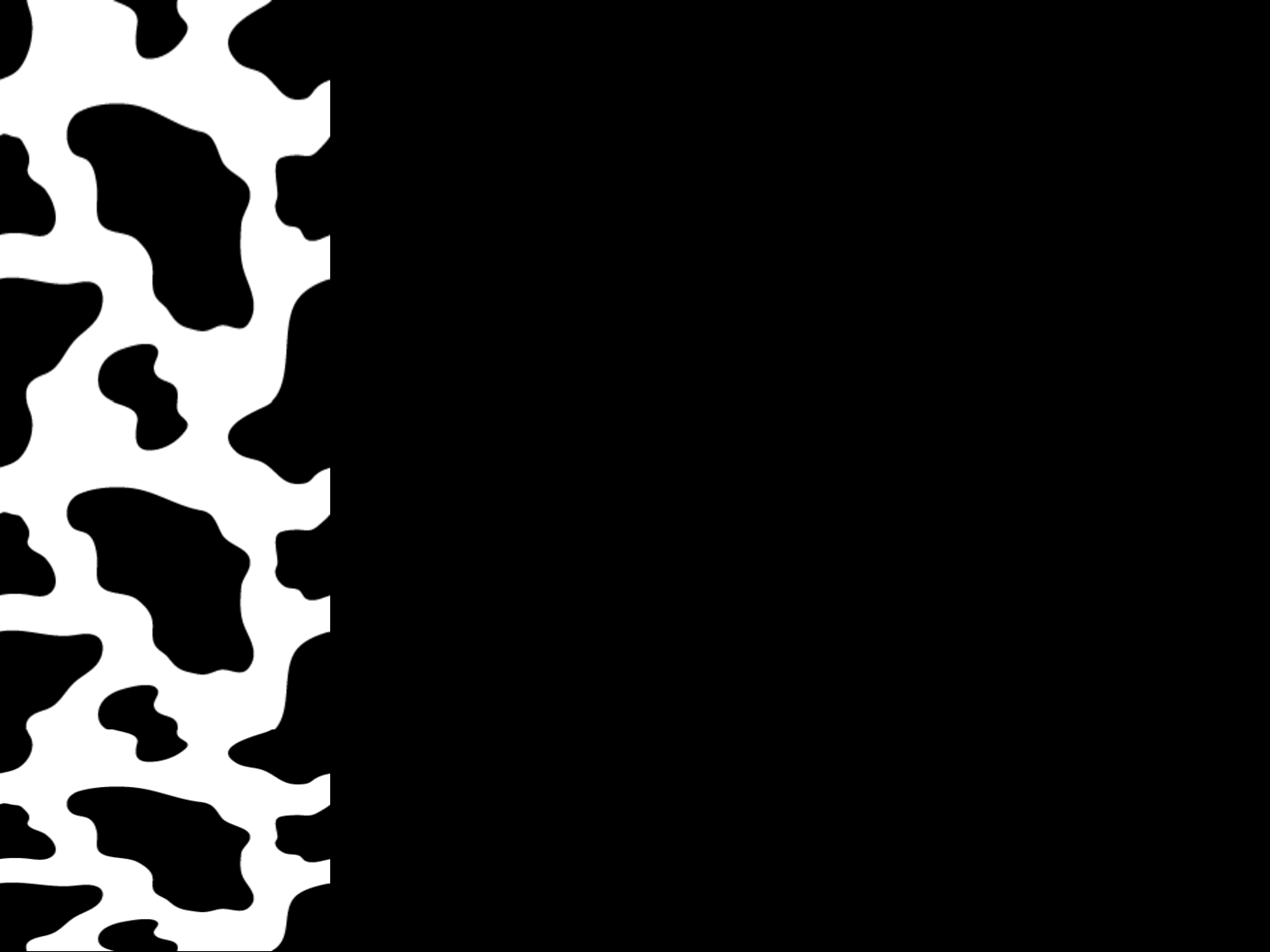 Free Templates  Animal Print Side Border  ClipArt Best   Template