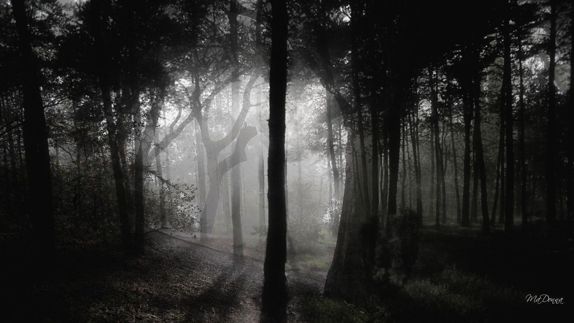 Ghost Dark Woods