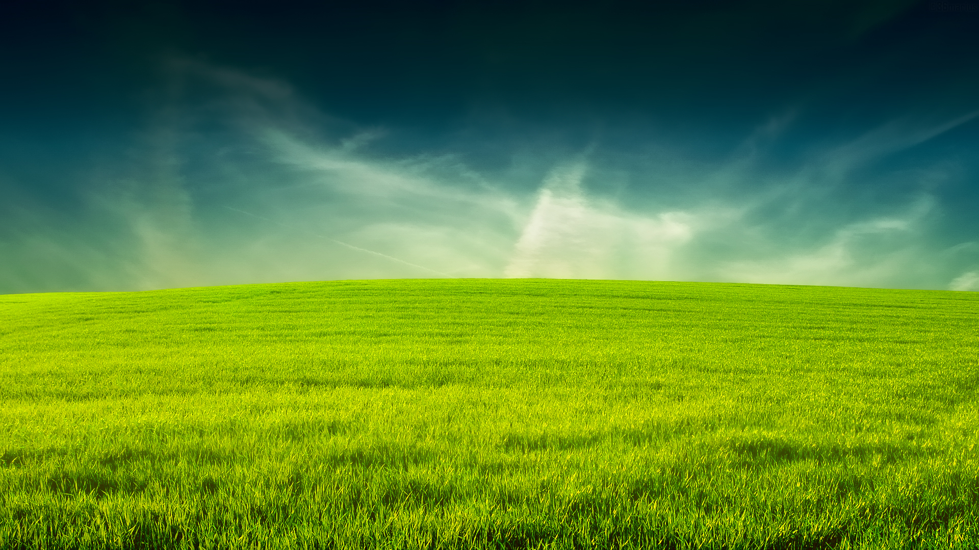 Grass  WIN10 THEMES Download