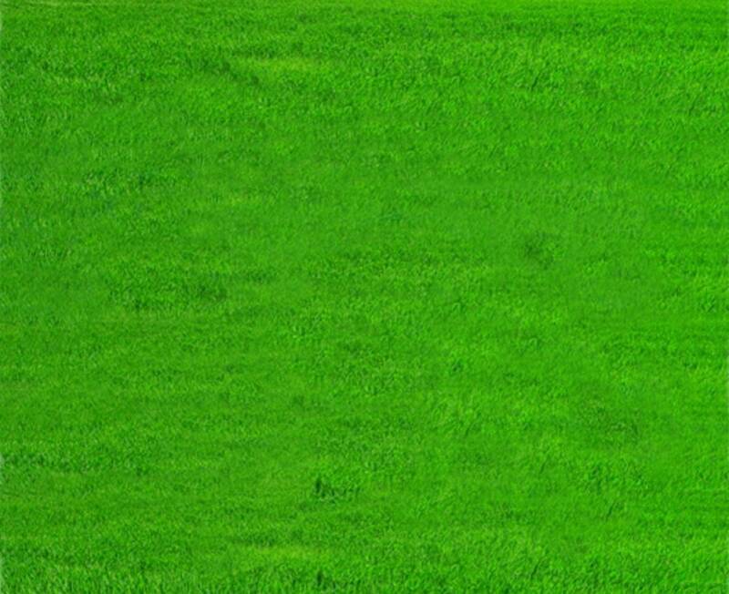 Grass Grass  Frame