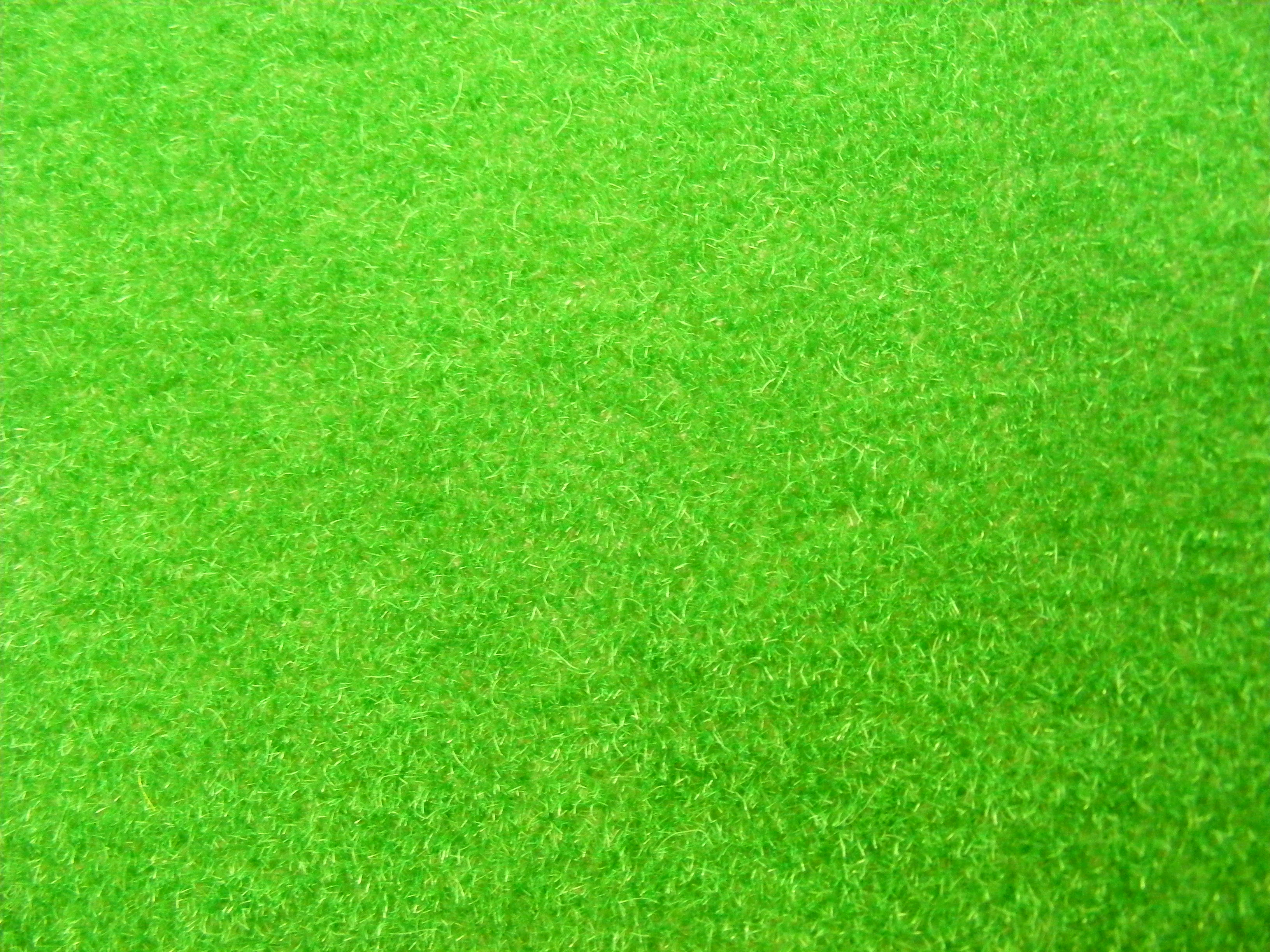 Grass Grass  Grass  Texture Texture and   Art