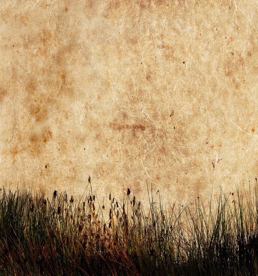 Grass Textured Download