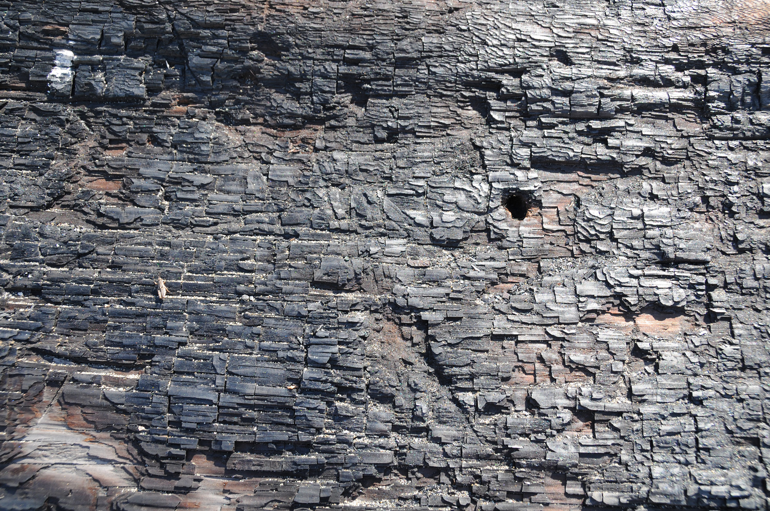 Gray Stone Texture This  Texture Picture