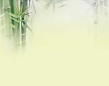 Green Bamboo Template Nature For PowerPoint Templates Picture