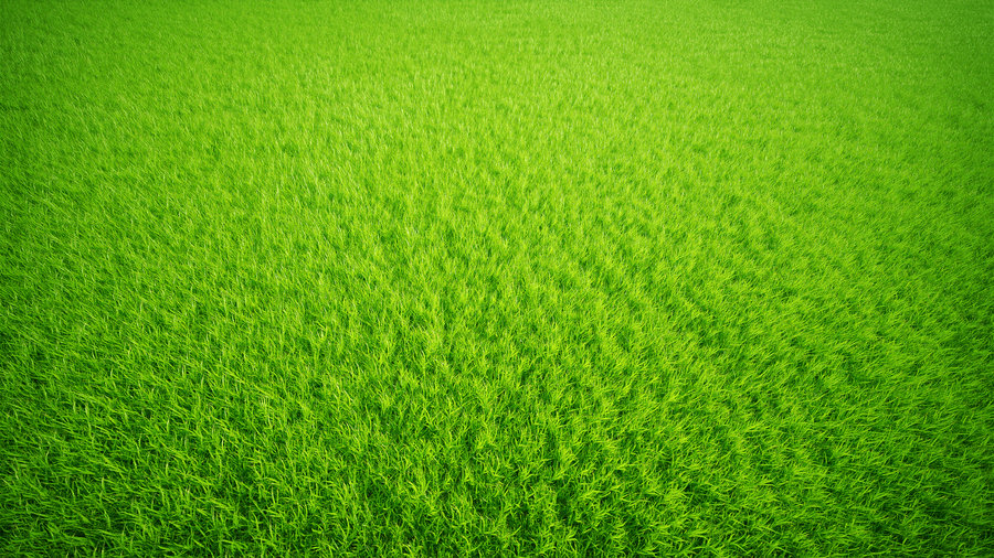 Green Grass By SoulArt2012 On DeviantArt Clip Art