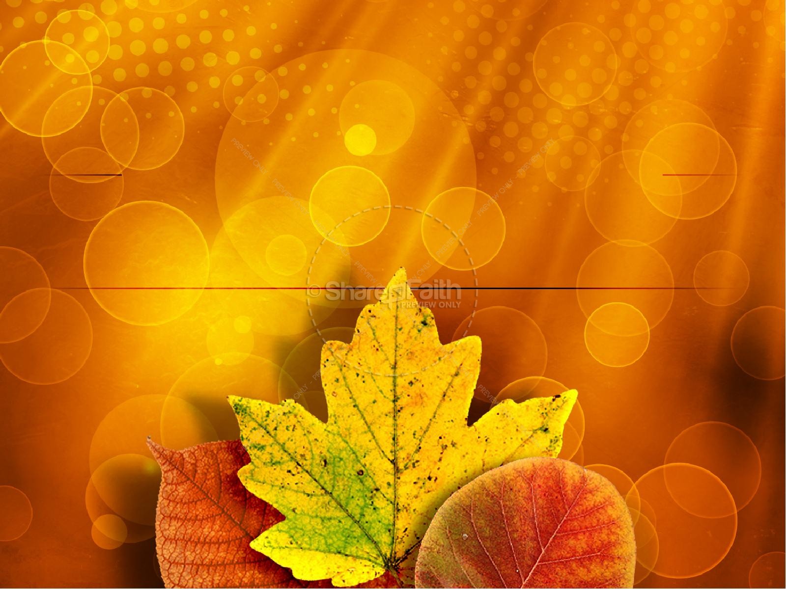 Happy Thanksgiving PowerPoint Template  Fall Thanksgiving PowerPoints image