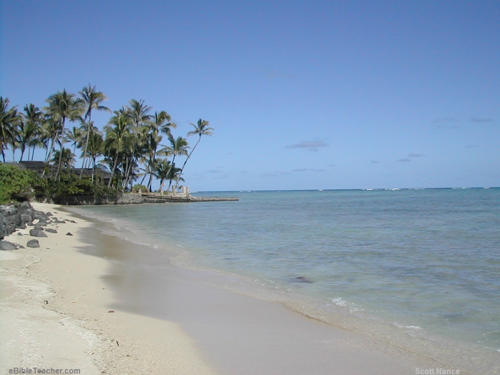 Hawaii Beach A Beautiful Beach In Hawaii Keywords Beach Ocean Tree   image