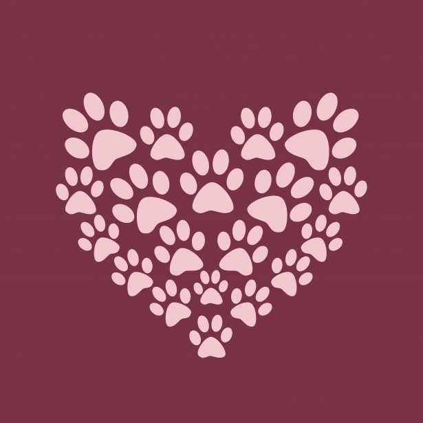 Heart Paw Print