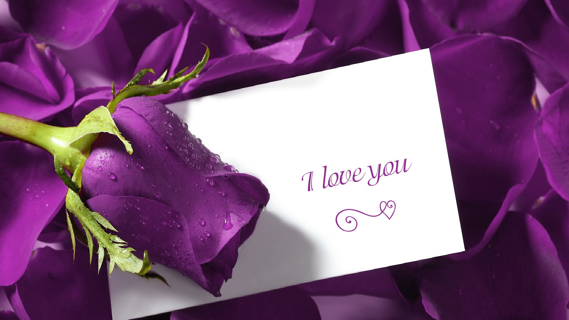 I Love You Purple Rose Art