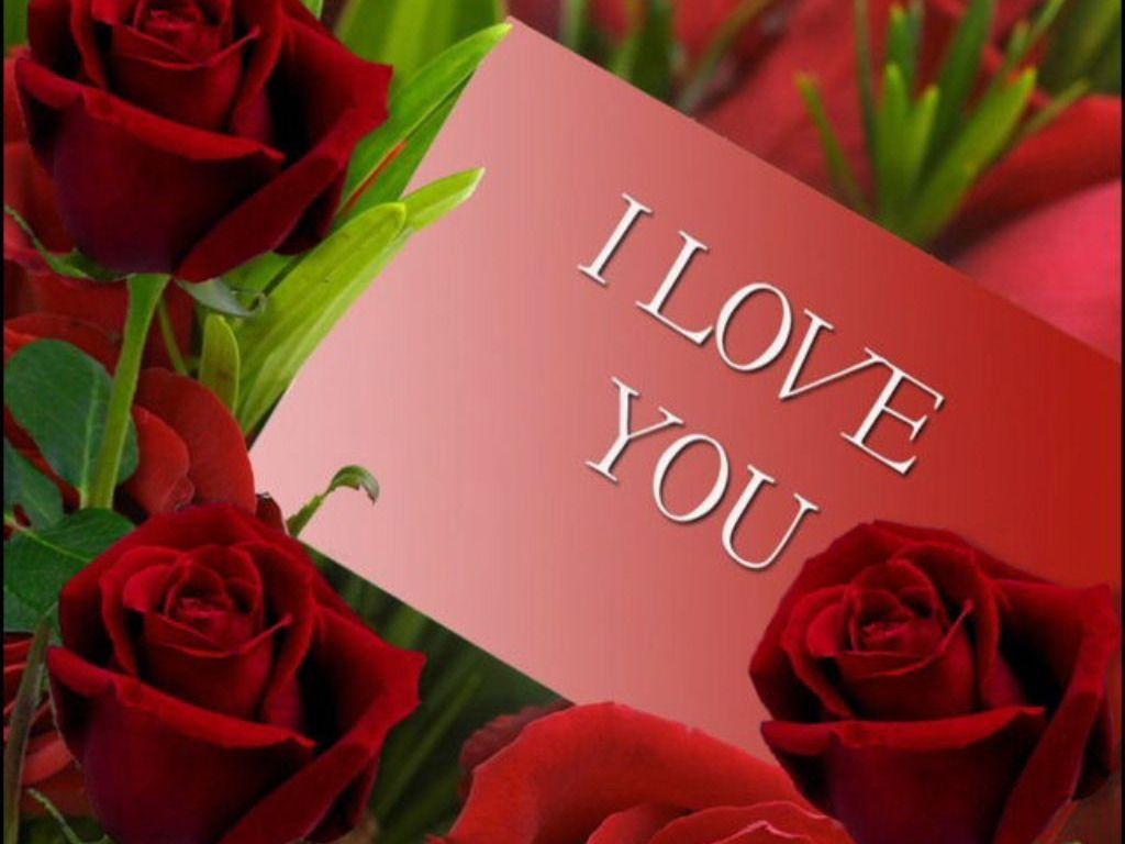 I Love You Red Roses Art