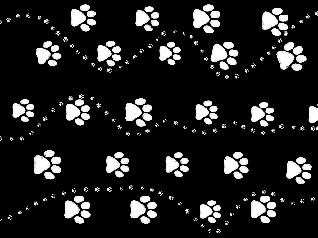 Image With Related Pictures Paw Print By Wallpaper