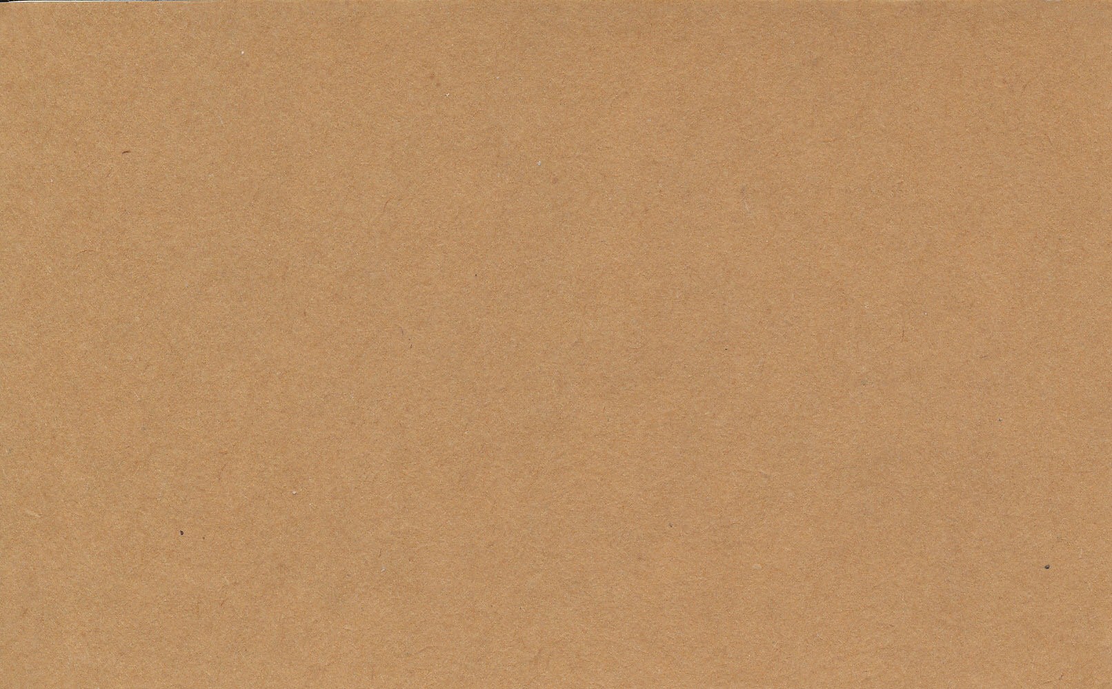 Kraft Paper Scan Photo