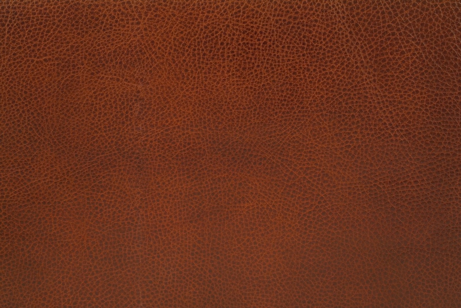 Leather Walpaper Hd Frame