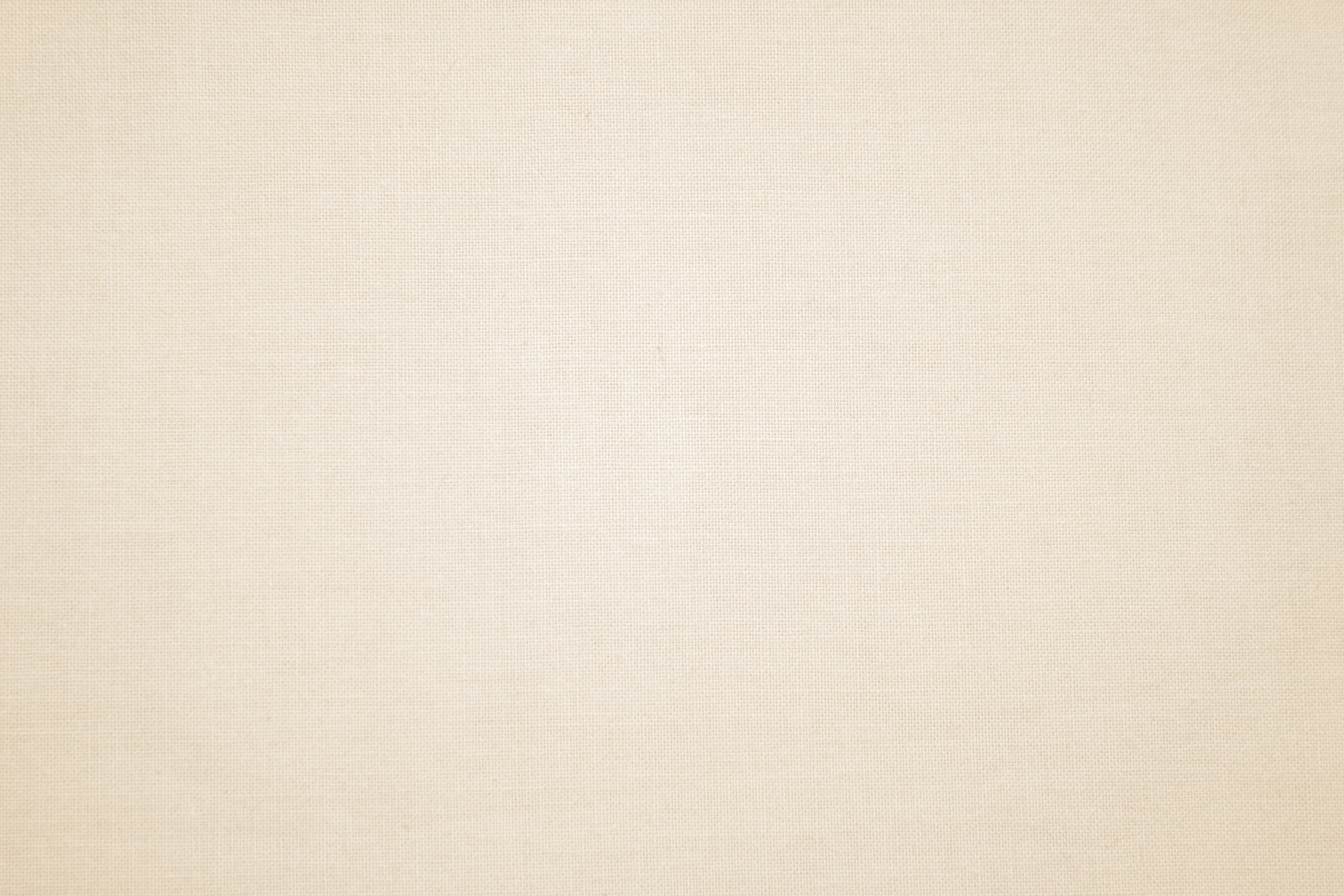 Light Beige Color Image