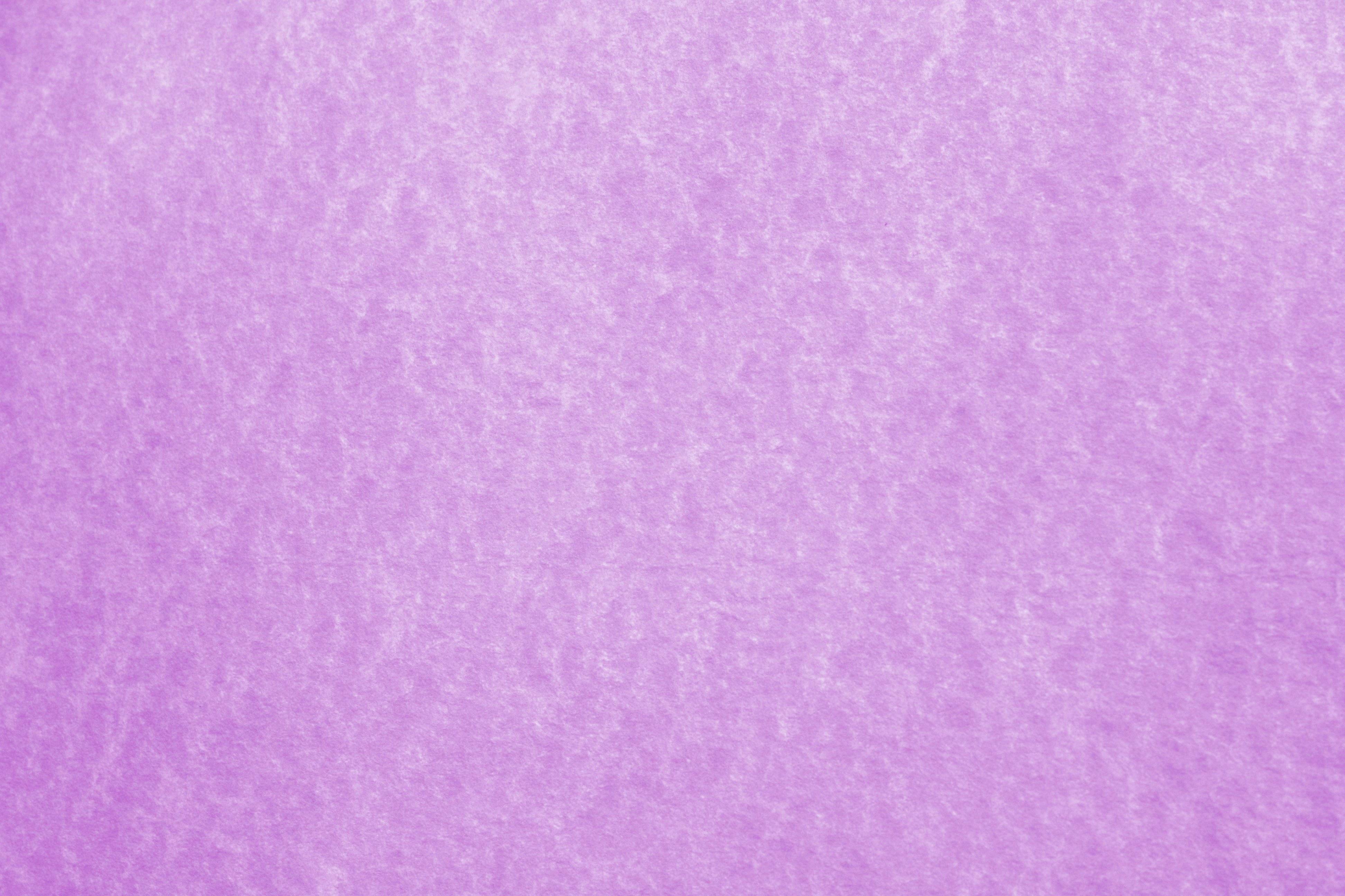 Light Purple Template