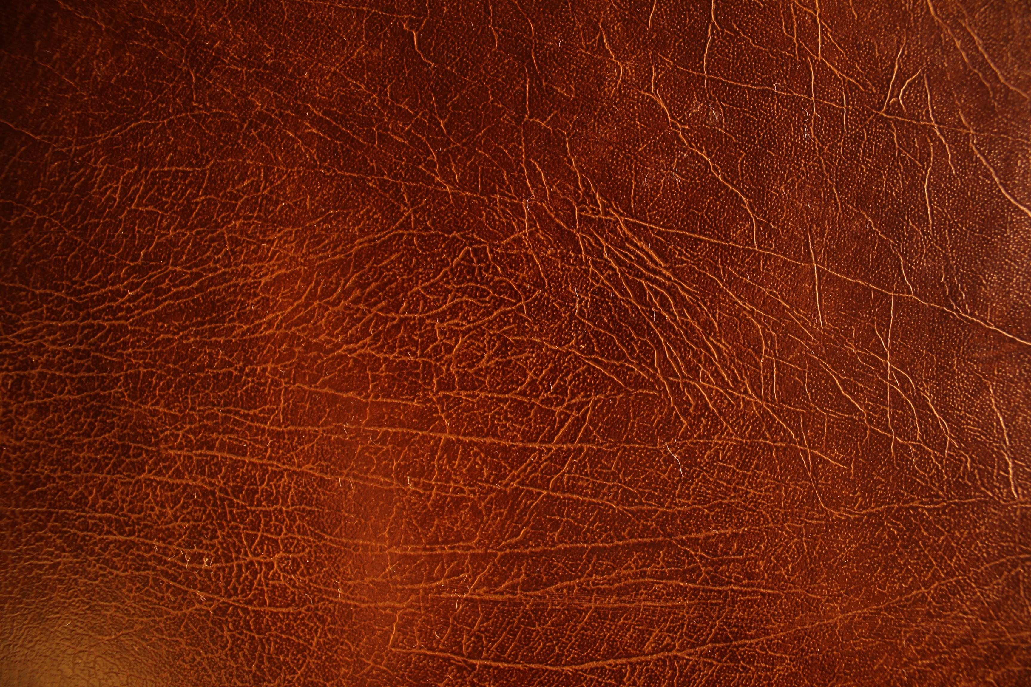 Materials Leather and Natural Walpaper Wallpaper