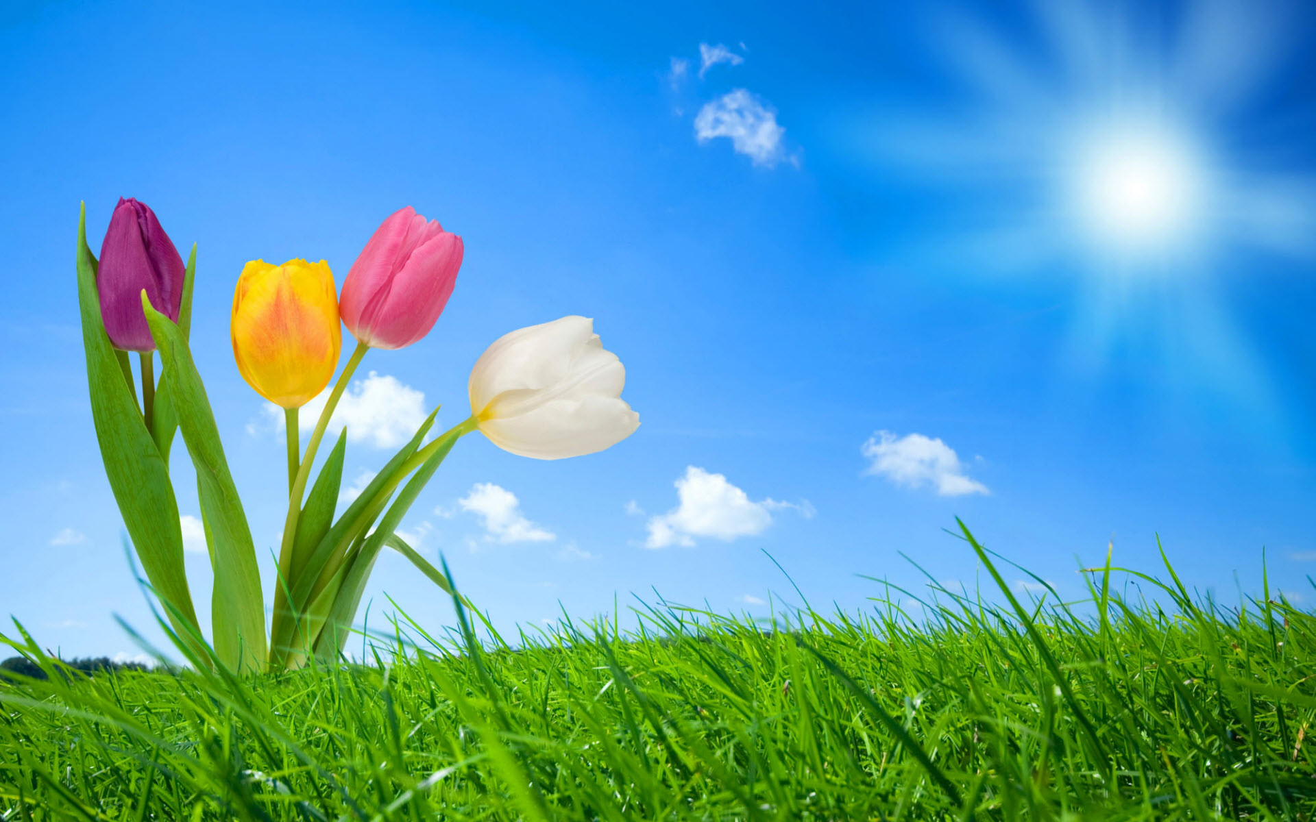 Nature Flowers Spring HD Clip Art