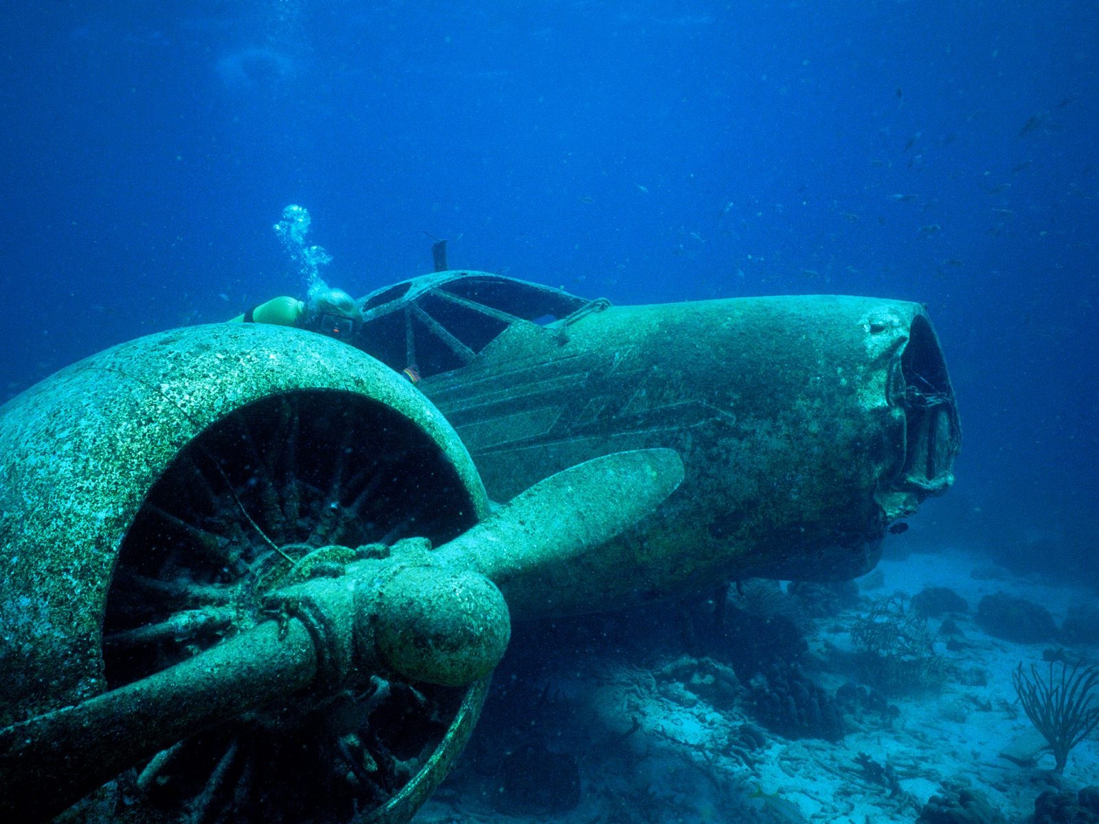 Ocean Underwater Photo