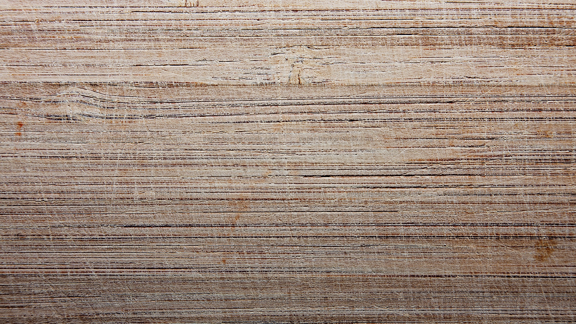 Old Wood Texture