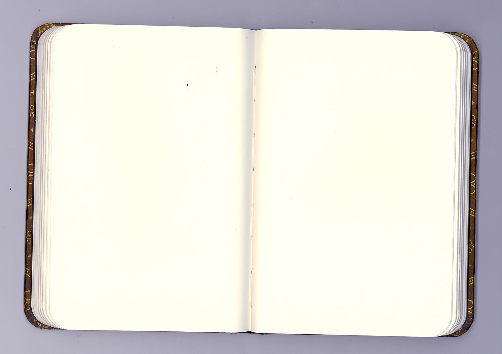 Open Blank Journal