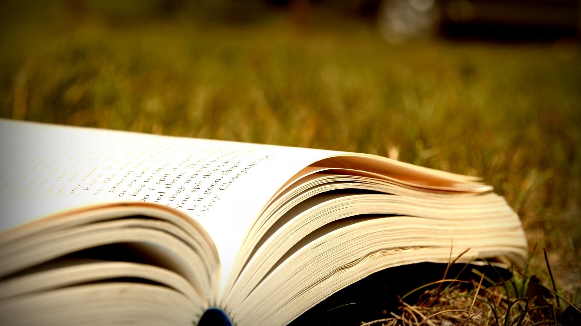 Open Book Wonderful Hd Books Open Book Wonderful Hd Books PPT Backgrounds