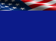 Patriotic Template  1  US Flag Banner Sample Picture