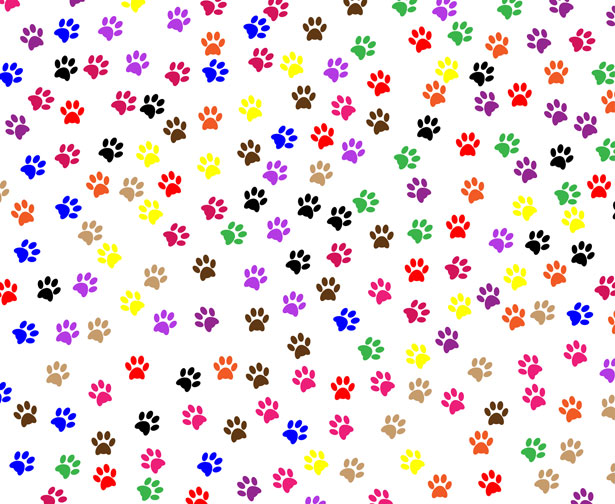 Paw Prints Free Stock Photo  Public Domain Pictures Design