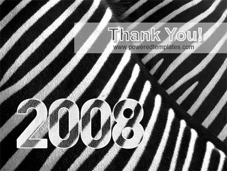 Pics Photos  Zebra 2008