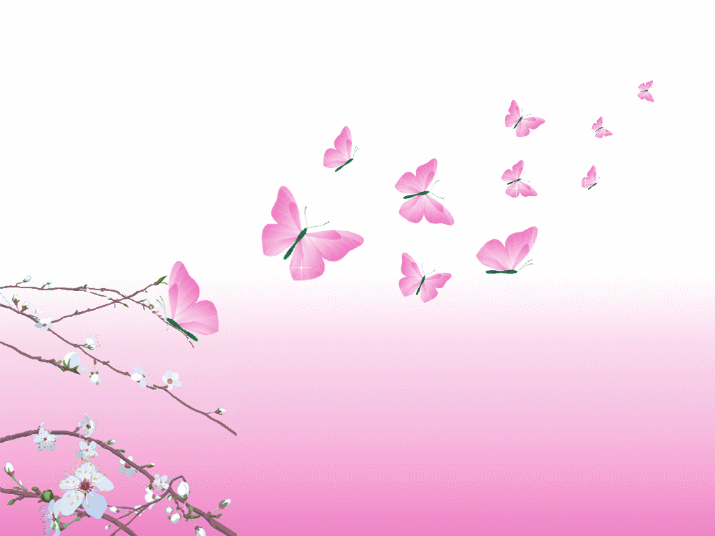 Pink and White Butterfly Frame