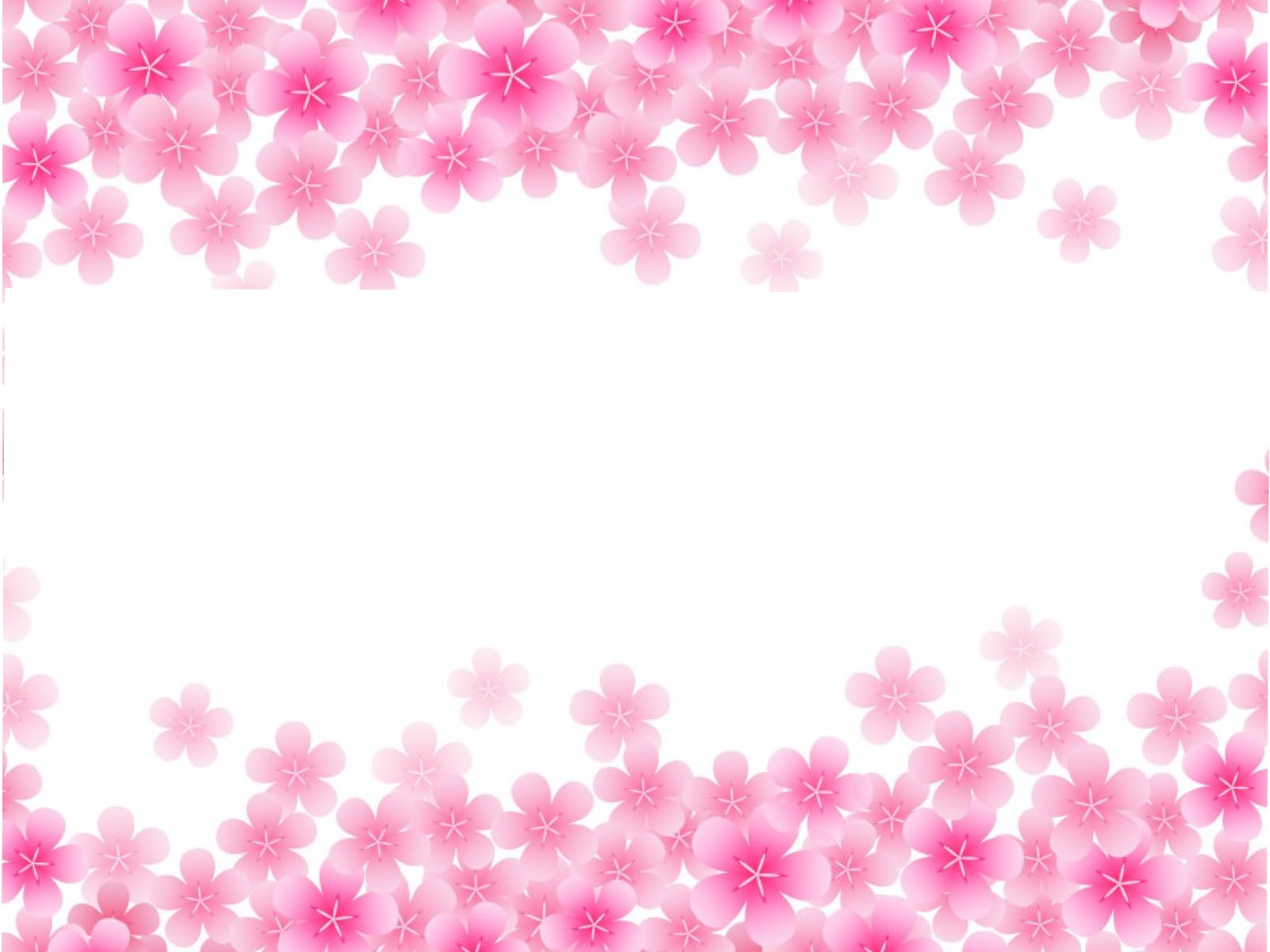 Pink Blooming   Flowers   Art