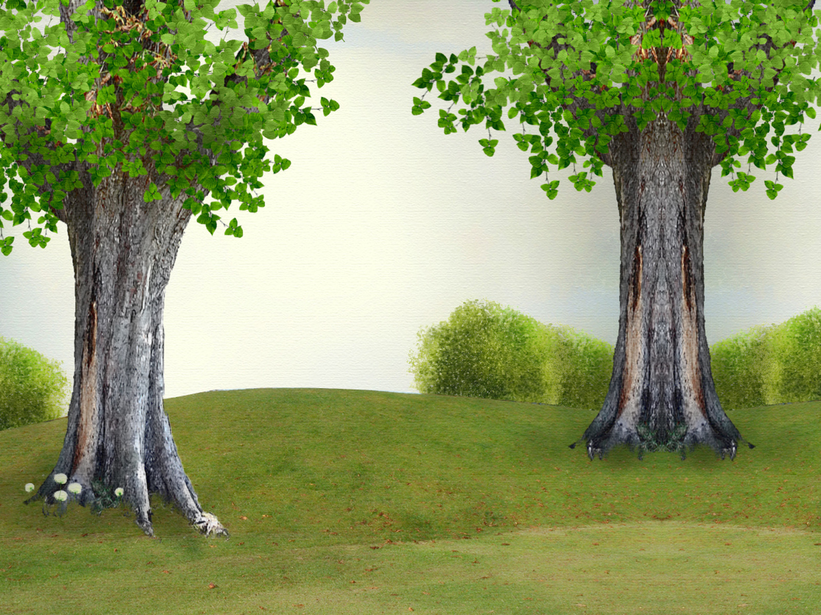 Powerpoint Tree Protection Of Nature and The Trees For   Clipart PPT Backgrounds