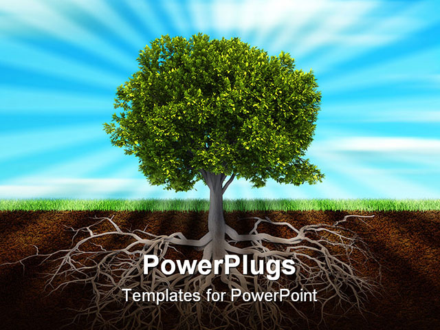 Powerpoint Trees Template About The Wallpaper