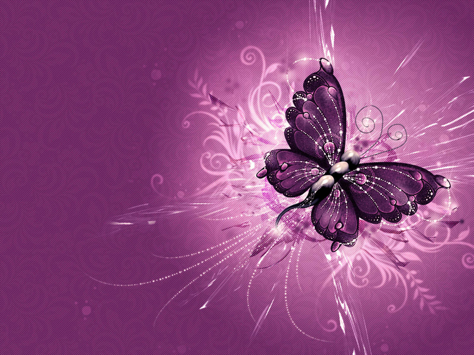 Purple Abstract Vector Butterfly Wallpaper