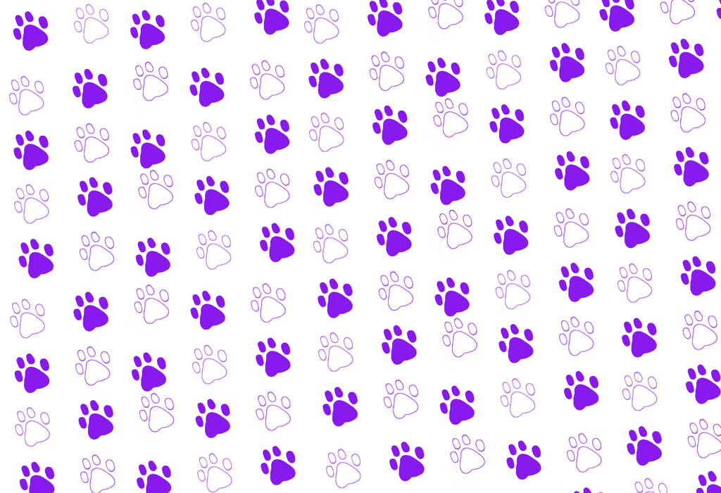 Purple Paw Print Frame