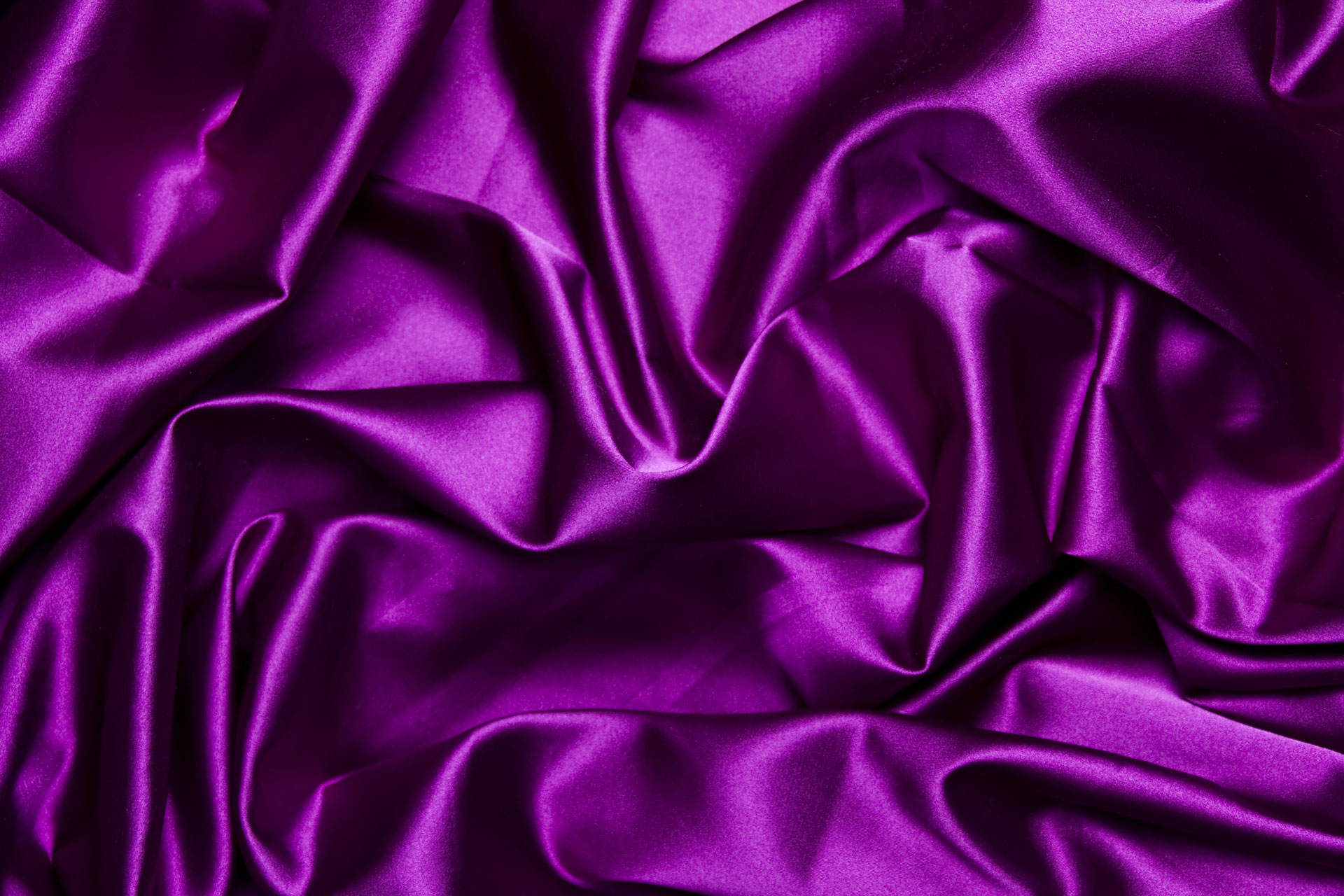 Purple Silkworm Download