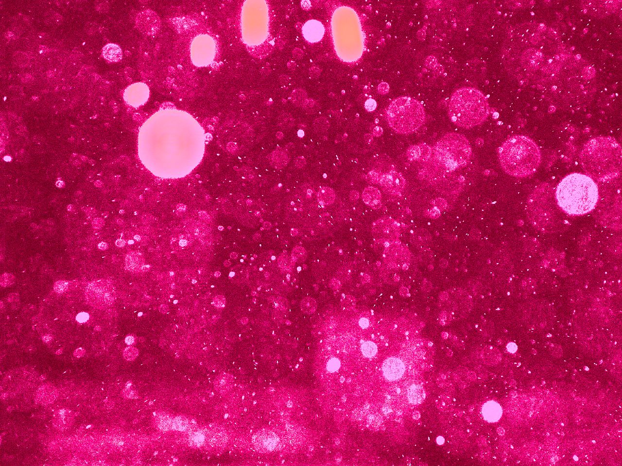 Schnee Pink Glitter Template