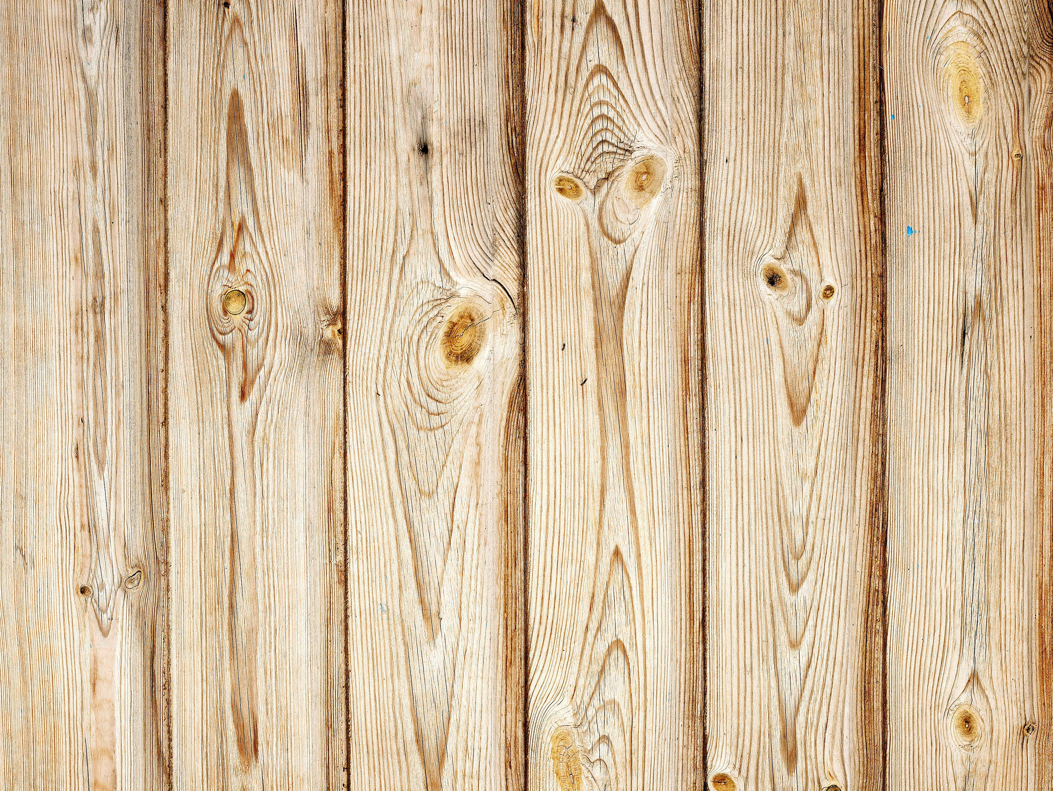 Seamless Wood Texture Graphic