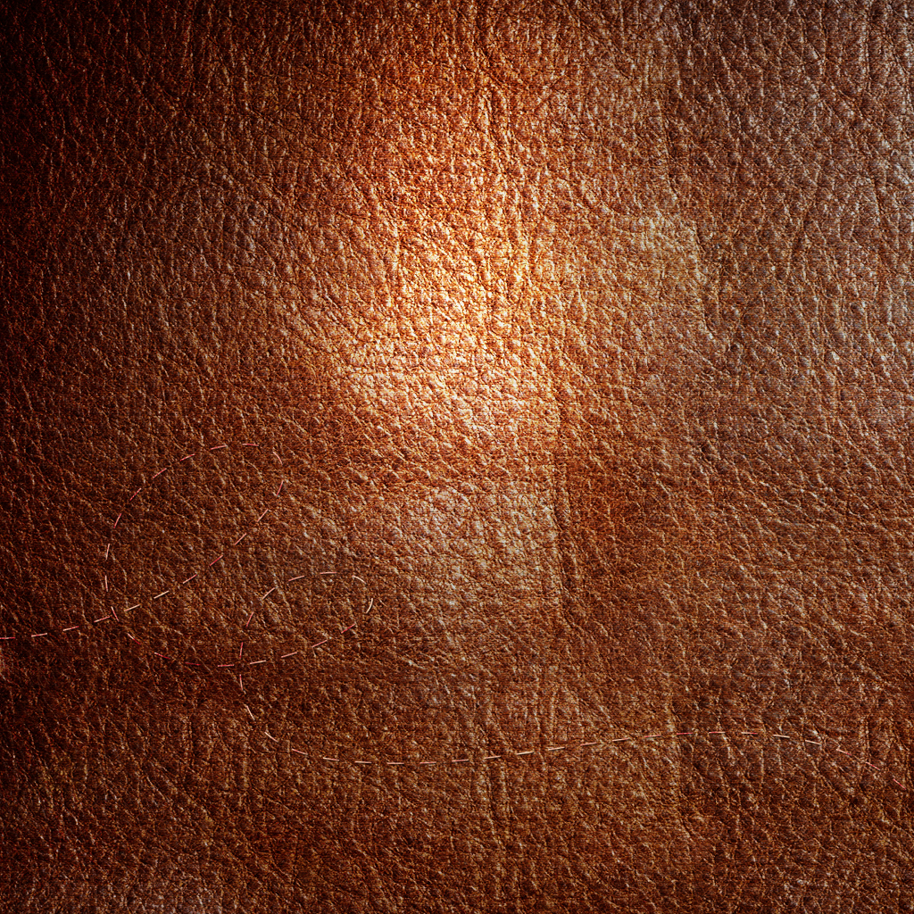 Skin Leather Texture