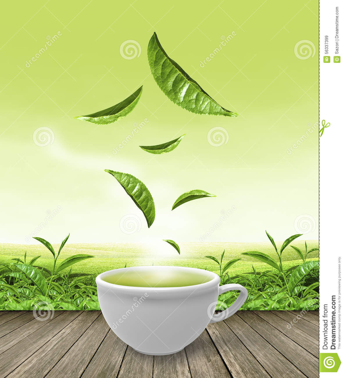 Tea Cup Green Tea Cup On Wooden Floor Stock   Template