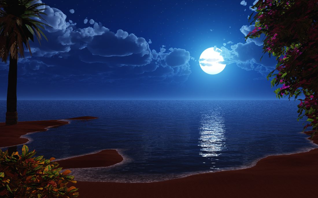 Templates  Night Beach PowerPoint Available In 1100x687 Picture