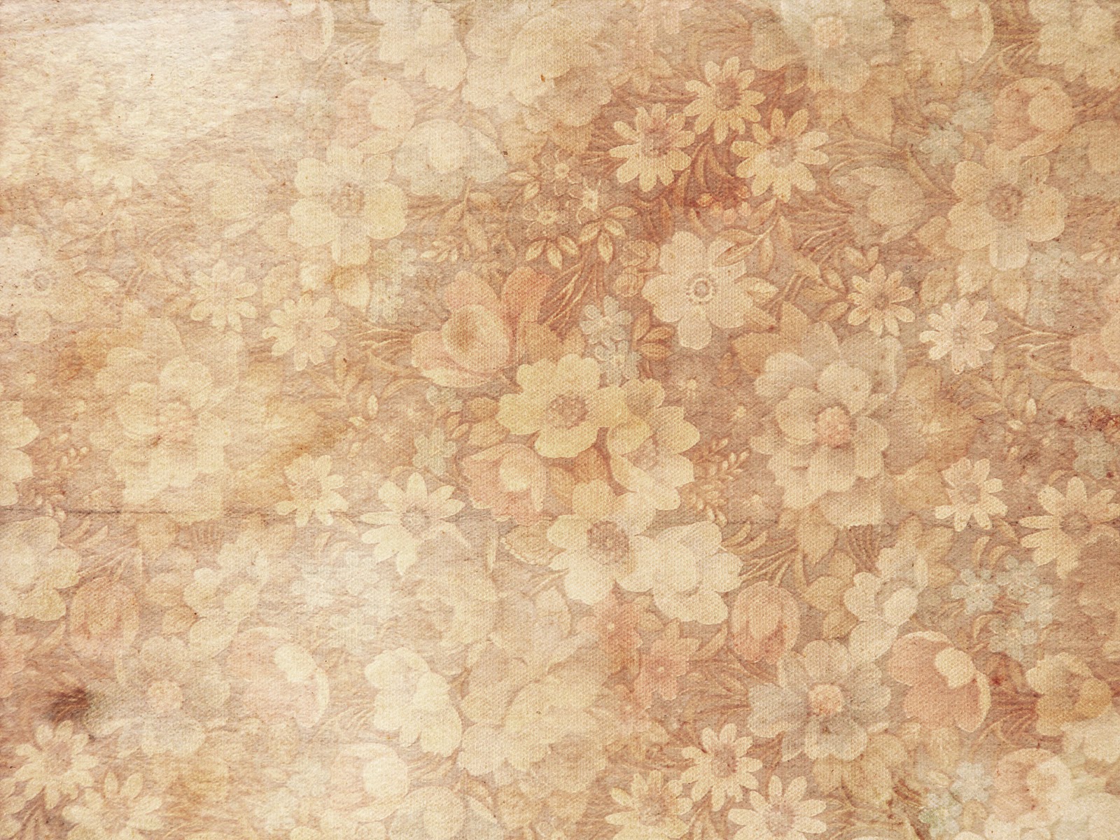 Texture Floral Texture  HD Picture