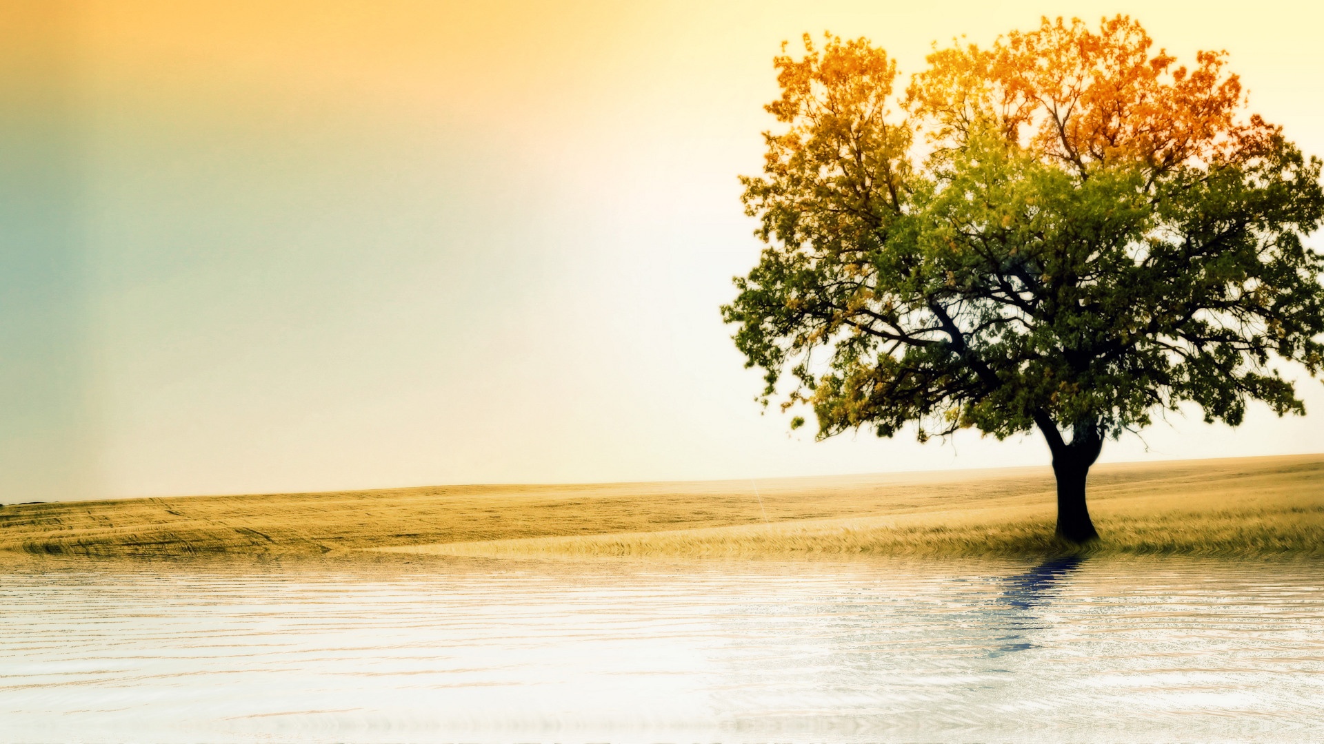 Tree and Sea