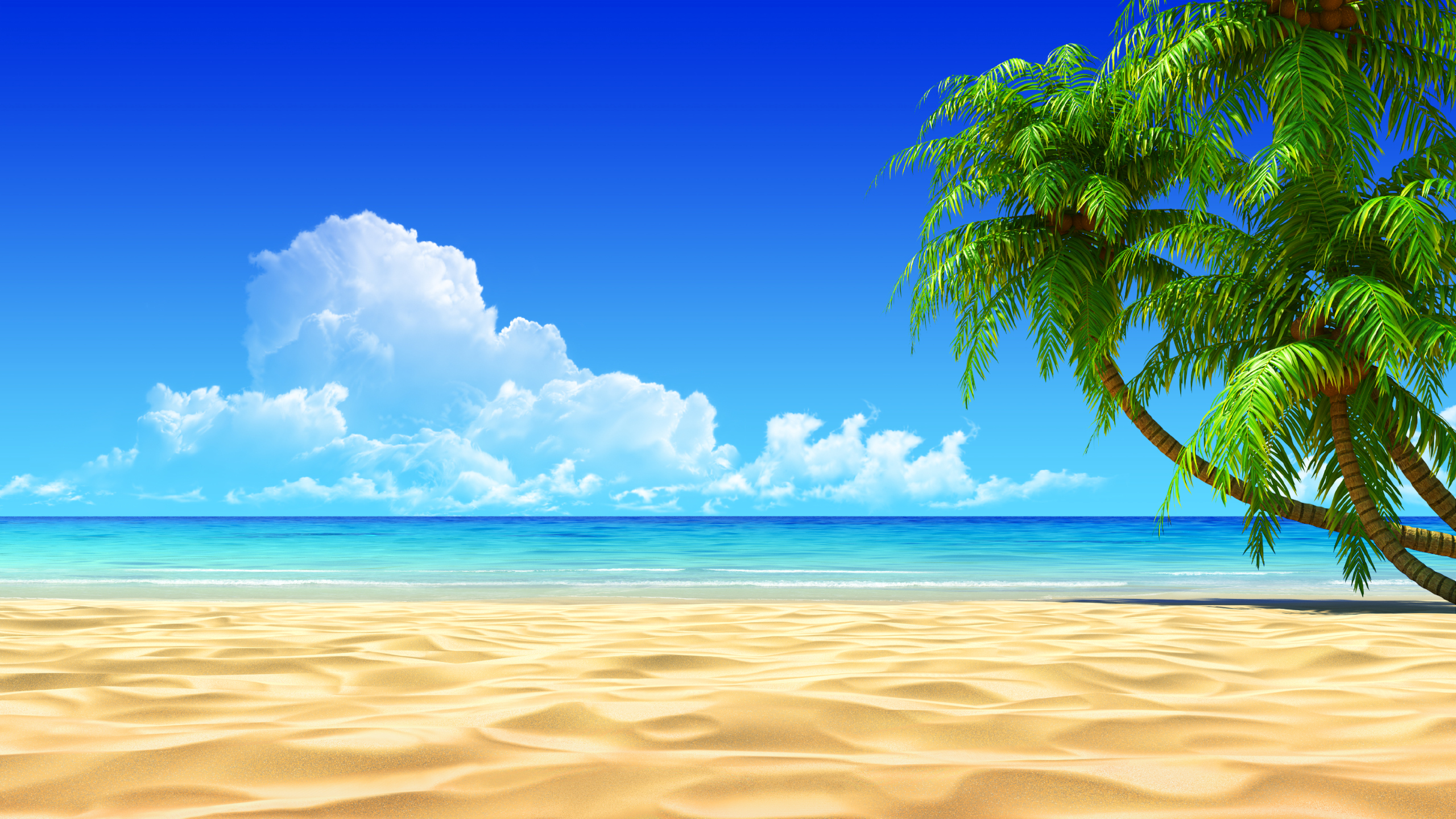 Tropical Beachs Tropical Beach 5 Tropical Beach   Picture